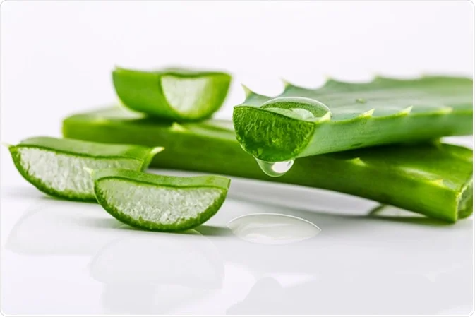 Aloe Vera Ingredient Image