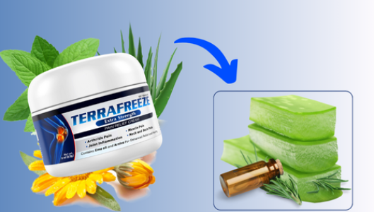 Aloe-Vera-Post.png