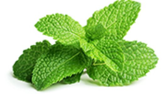 menthol pain relief cream