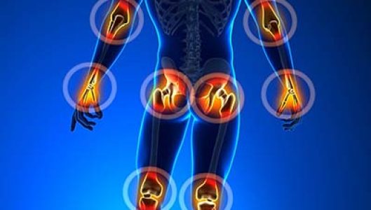 joints-pain-anatomy-1.jpg